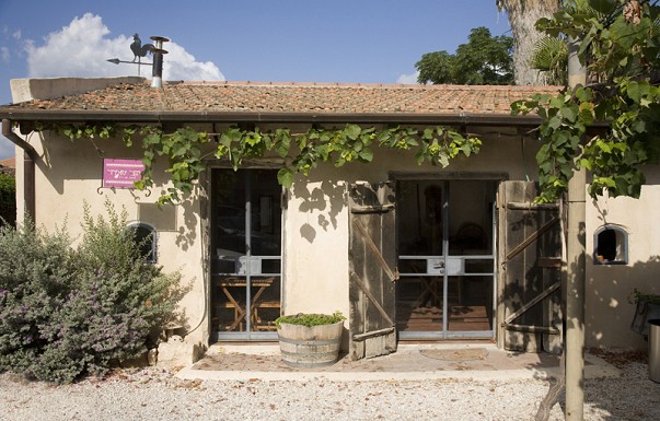 חאן סמדר - ������ �זכרון יעקב - ������ ����