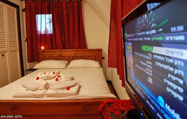 וילה אוליביה - ������ �בני יהודה - ������ ����