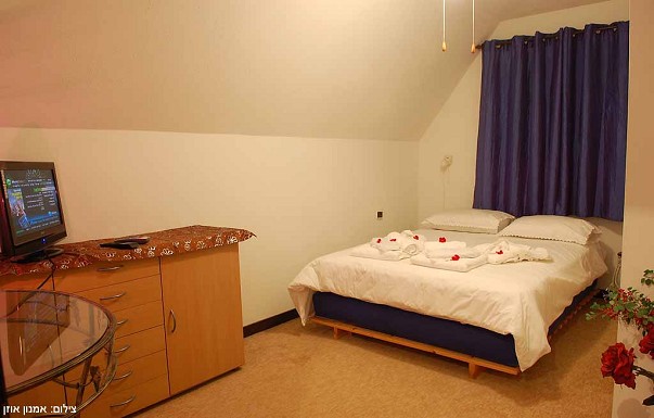 וילה אוליביה - ������ �בני יהודה - ������ ����