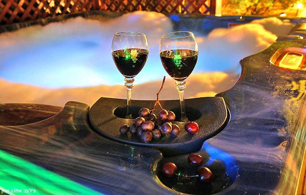 וילה אוליביה - ������ �בני יהודה - ������ ����