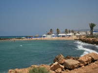 ���� ����