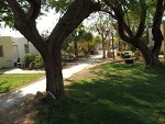 מעיין במדבר צימרים בקיבוץ יהל ביהל