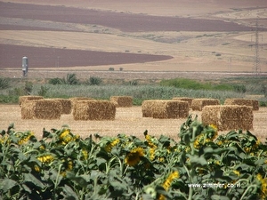 Landwirtschaftstourismus Israel