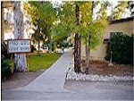 נופש כפרי בקיבוץ שלוחות בשלוחות - עמק בית שאן