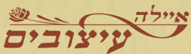 אילה%20עיצובים%20,%20כנרת