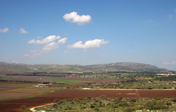 אביב בכרם - בקתות עץ - ������ �רמות נפתלי - ������ ����