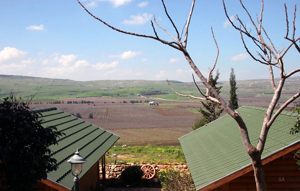 אביב בכרם - בקתות עץ - ������ �רמות נפתלי - ������ ����