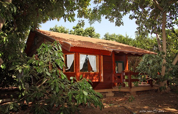 غرفة ضيافة في الطبيعة بستان الجليل Israel Hotels B&B Bitka BaMata B&B غرفة ضيافة في الطبيعة بستان الجليل Israel Hotels B&B Bitka BaMata B&B