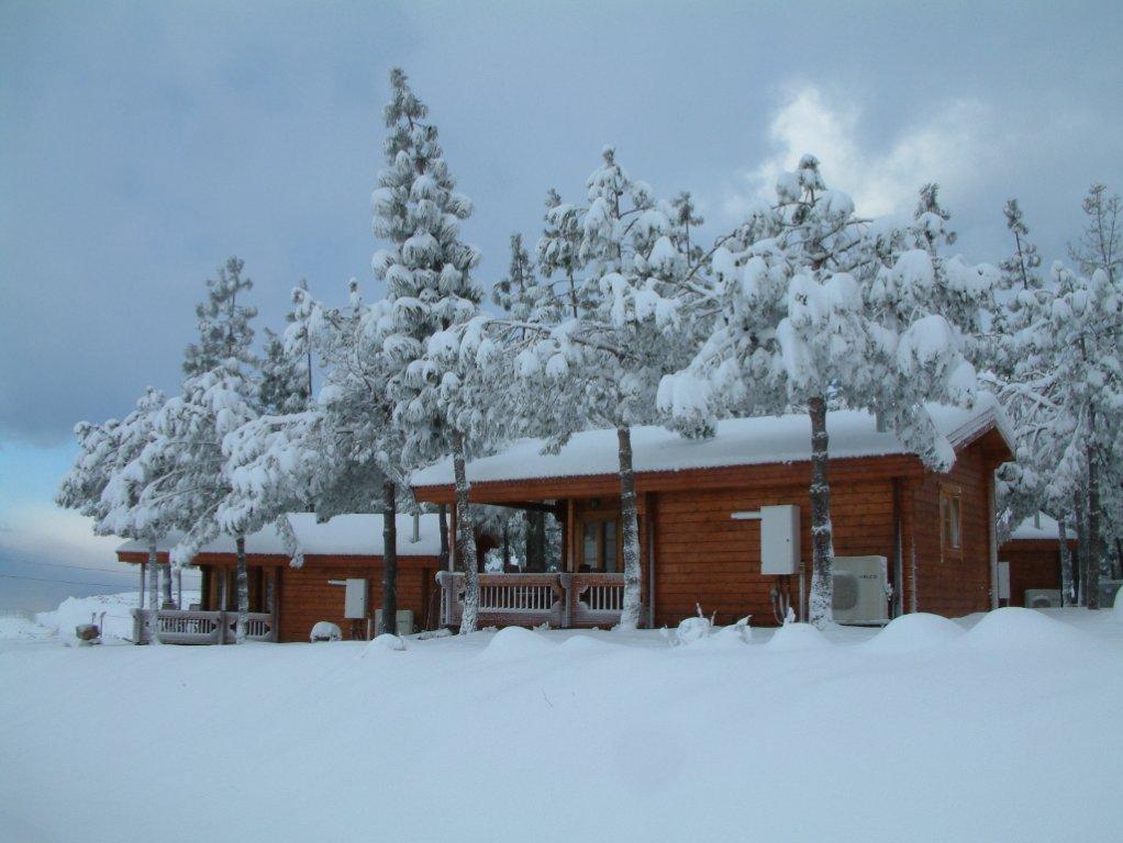 צימרים בקיבוץ אורטל