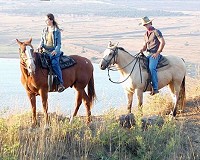 טיולי%20סוסים%20-%20מרום%20גולן%20,%20מרום%20גולן