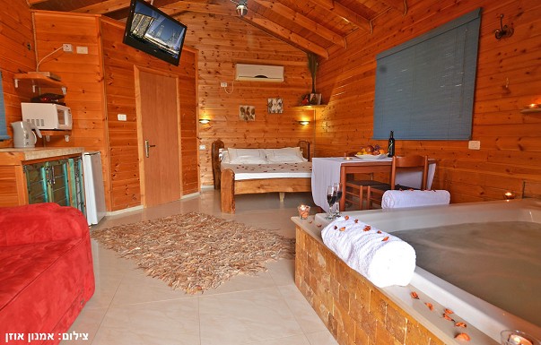 זית חלב ודבש - ������ �חזון - ������ ����