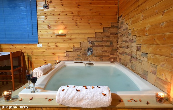 זית חלב ודבש - ������ �חזון - ������ ����