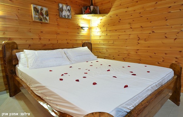 זית חלב ודבש - ������ �חזון - ������ ����