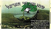 שמן%20זית%20הר%20ארבל%20,%20מגדל