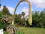 אורחן%20נווה%20מדבר%20,%20ערד