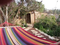 השקדיה%20,%20עין%20הוד
