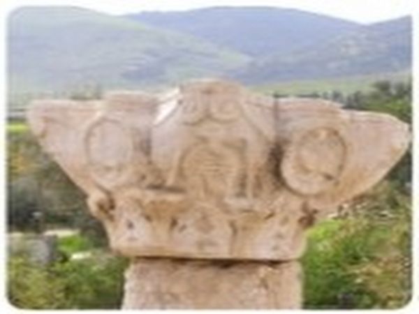 Museum of Regional and Mediterranean Archaeology's page