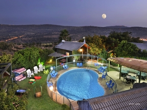 כלנית%20בטבע%20,%20כלנית