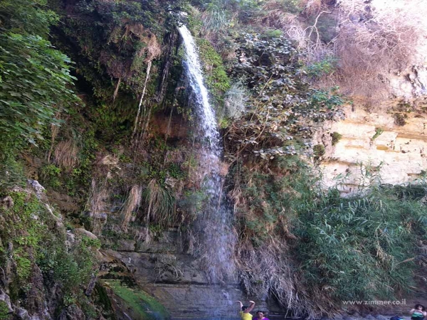 Click to visit Ein gedi nature reserve