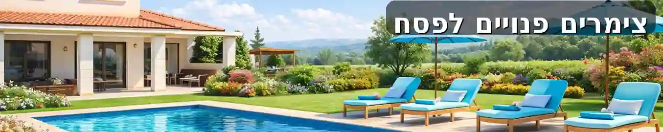 המחירי דקה 99