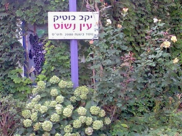 יקב%20עין%20נשוט%20-%20חוות%20בל%20עופרי%20,%20קדמת%20צבי