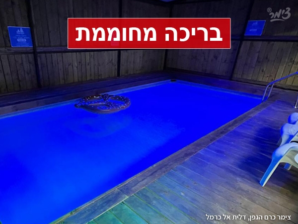 צימר%20כרם%20הגפן%20,%20דלית%20אל%20כרמל