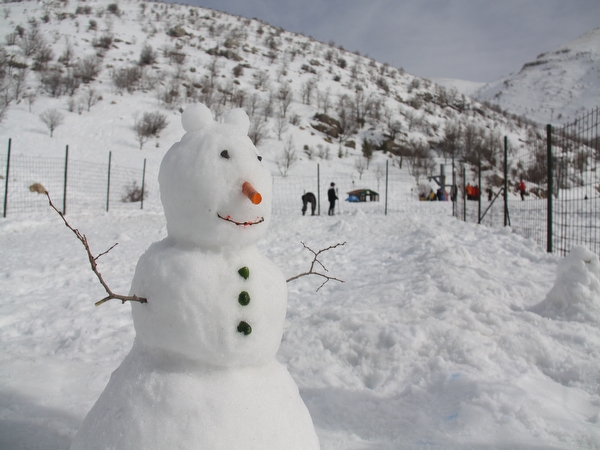 בקתות%20במישור%20הגליל-בוקינג%20,%20בית%20הלל