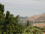 בית%20לוי%20-%20דירת%20נופש%20,%20לבנים