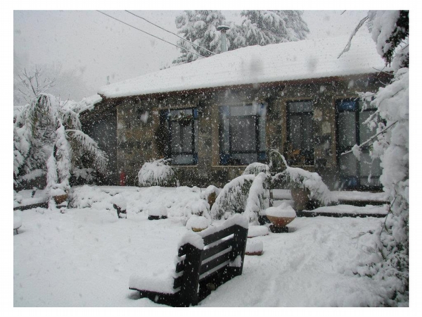 פנינת%20הבזלת%20בגולן%20-%20צימר%20מבודד%20עם%20בריכה%20,%20שעל