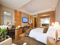 בוקינג%20%20%20BOOKING%20,%20דימונה