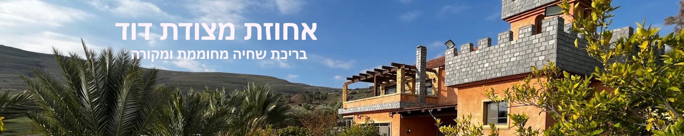 וילה אחוזת מצודת דוד