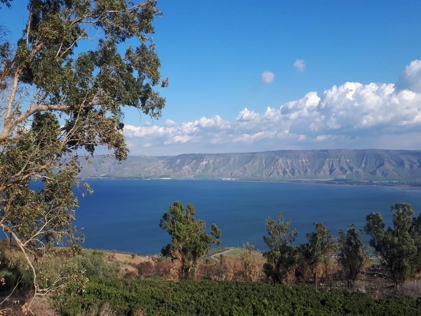 צימרים%20ווילות%20במושב%20שדה%20אילן%20,%20שדה%20אילן