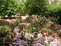 אירוח%20רונית%20,%20ראש%20פינה