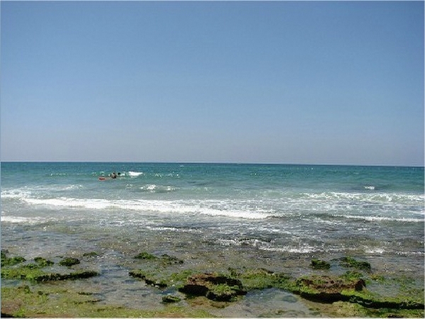 נווה%20קייט%20-%20נווה%20כנרת%20,%20מגדל