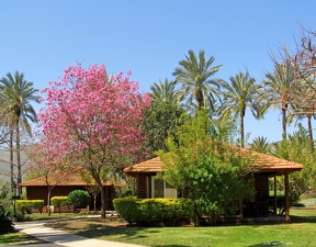 אירוח כפרי בניר דוד