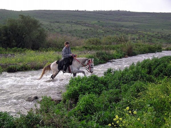 Click to visit The jordan riders - horseback riding tours