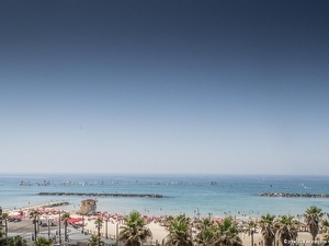 TLV%2088%20מלון%20בוטיק%20בתל%20אביב%20,%20תל%20אביב