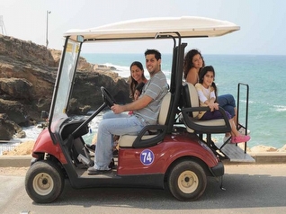 רכבים חשמליים