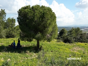 עמותת%20תיירות%20שומרון%20,%20כללי