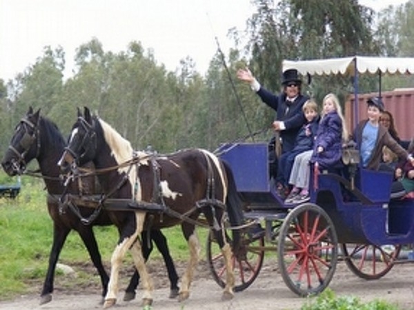 Click to visit Roge's horse and carriage