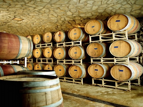 אטרקציות במרום הגליל - יקב מדבר midbar winery