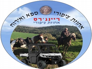 טיולי ריינג`רים