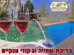 אביב%20במטולה%20-%20בריכה%20וספא%20לנוף%20,%20מטולה