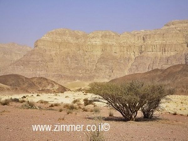 Click to visit Avdat national park