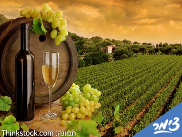 Click to visit Bazelet hagolan winery