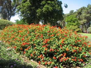 כתבות%20של%20חברת%20צימר%20,%20כללי