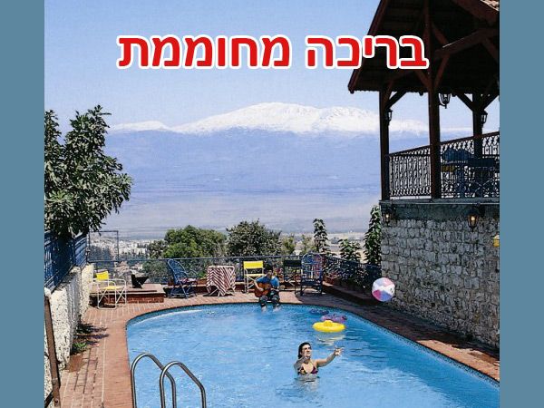 ���� ����� ���� ����