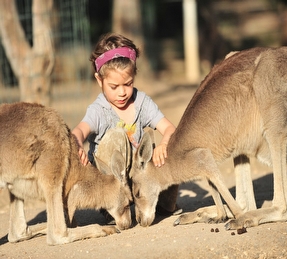 Gan Gu-Yura (Jurassic) - Australian Park