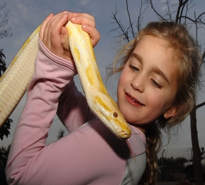 Eli`s Reptile Corner's page