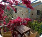 בית מספילו - אירוח כפרי בקפריסין